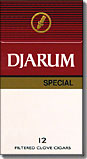Djarum Special Box Filtered Clove Cigars