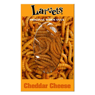 Hotlix Larvets Snax Cheddar Cheese 1.4oz