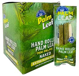 Palm Leaf Mini Naked Cones 24 Packs of 2