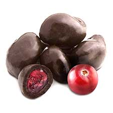 Zachary Dark Chocolate Covered Cranberries 1lb