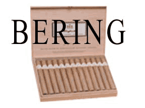 Bering Plaza Medium Brown