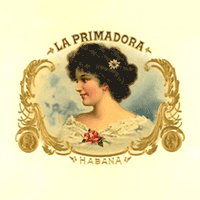 La Primadora Excellentes Medium Brown